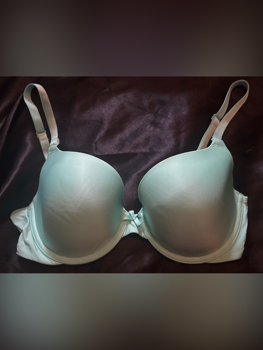 Victoria’s Secret Light Aqua Demi T-Shirt Bra with Bow Detail
